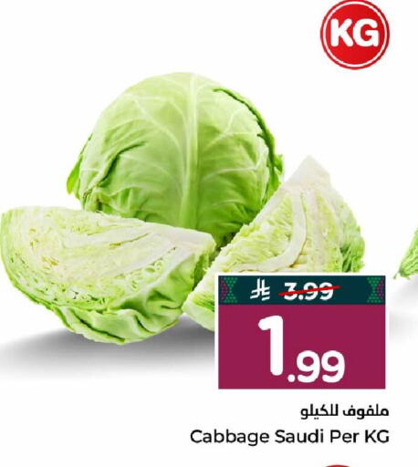 Cabbage from Saudi Arabia available at Hyper Al Wafa in KSA, Saudi Arabia, Saudi - Mecca