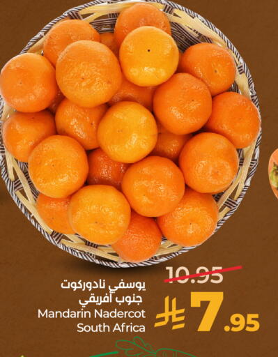 Mandarin from South Africa available at LULU Hypermarket in KSA, Saudi Arabia, Saudi - Unayzah