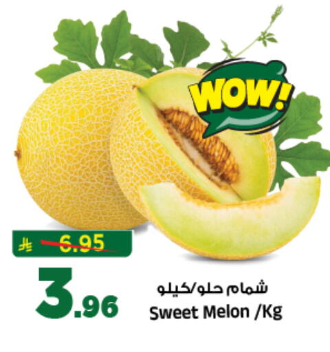 Melon available at المدينة هايبرماركت in مملكة العربية السعودية, السعودية, سعودية - الرياض
