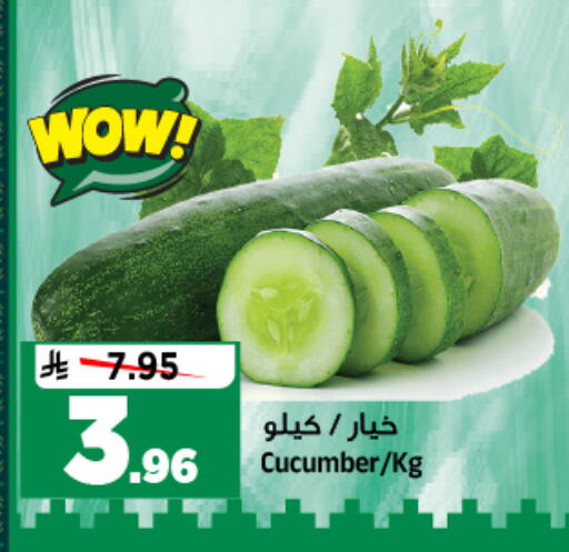 Cucumber available at Al Madina Hypermarket in KSA, Saudi Arabia, Saudi - Riyadh