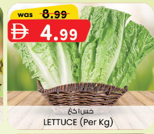 Lettuce available at Al Safa in UAE - Abu Dhabi