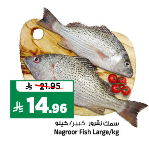 available at Al Madina Hypermarket in KSA, Saudi Arabia, Saudi - Riyadh