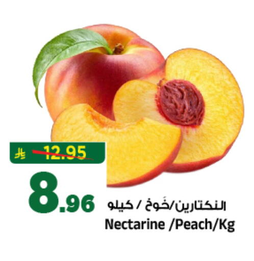 Nectarine Peach available at المدينة هايبرماركت in مملكة العربية السعودية, السعودية, سعودية - الرياض