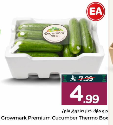 Cucumber available at Hyper Al Wafa in KSA, Saudi Arabia, Saudi - Mecca