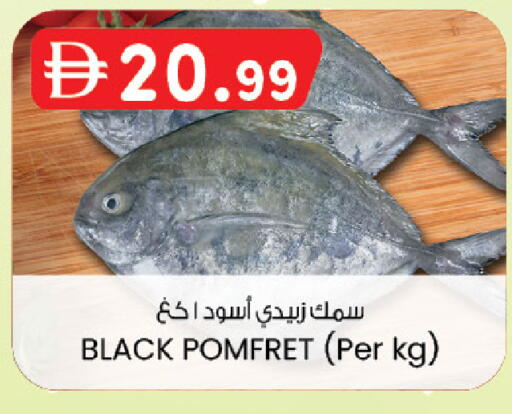available at K M Trading  in UAE - Dubai
