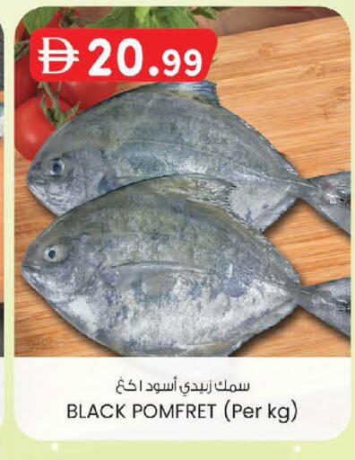 available at Safa Express Supermarket in UAE - Abu Dhabi