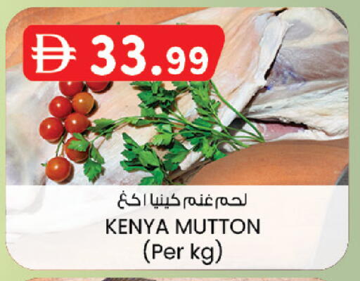 available at صفا اكسبريس سوبرماركت in الإمارات العربية المتحدة , الامارات - ٱلْعَيْن‎