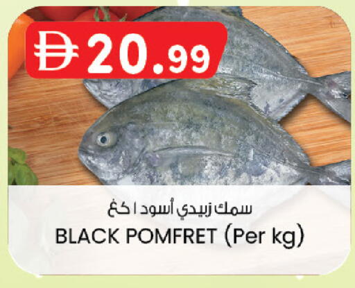 available at ك. إم. هايبرماركت in الإمارات العربية المتحدة , الامارات - الشارقة / عجمان