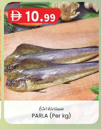 available at Al Safa in UAE - Abu Dhabi