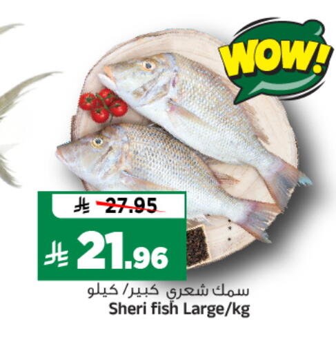 available at المدينة هايبرماركت in مملكة العربية السعودية, السعودية, سعودية - الرياض
