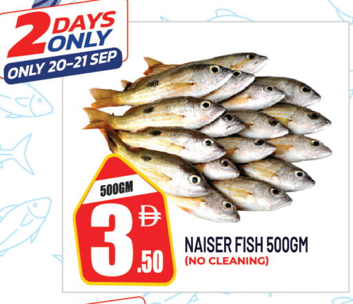 available at Dream Land in UAE - Sharjah / Ajman