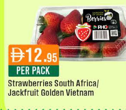 Jackfruit from South Africa Vietnam available at West Zone Supermarket in UAE - Dubai
