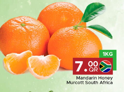 Mandarin from South Africa available at مركز التموين العائلي in قطر - أم صلال