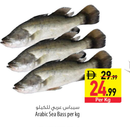available at السفير ماركت in الإمارات العربية المتحدة , الامارات - رَأْس ٱلْخَيْمَة