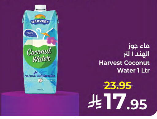 Coconut available at Kabayan Hypermarket in KSA, Saudi Arabia, Saudi - Jeddah