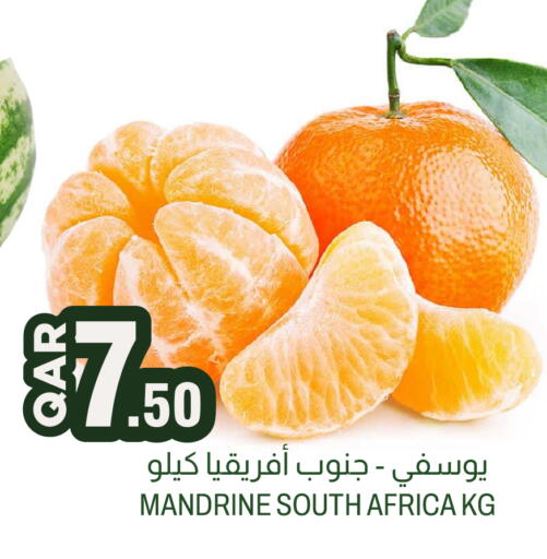 from South Africa available at Aswaq Al Malaki Fresh in Qatar - Al Shamal