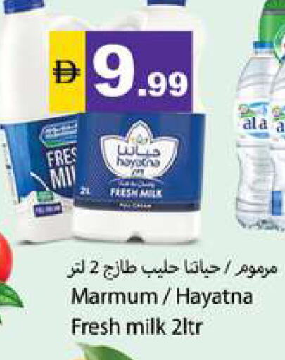 available at جلف هايبرماركت ذ.م.م in الإمارات العربية المتحدة , الامارات - رَأْس ٱلْخَيْمَة