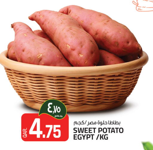 Sweet Potato from Egypt available at السعودية in قطر - أم صلال