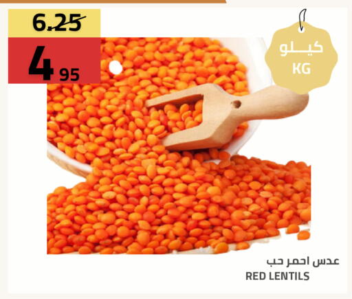 available at Astra Markets in KSA, Saudi Arabia, Saudi - Tabuk