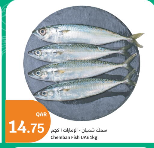 available at City Hypermarket in Qatar - Doha