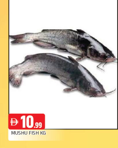 available at AL MADINA in UAE - Sharjah / Ajman