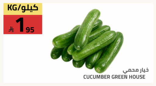 Cucumber available at Astra Markets in KSA, Saudi Arabia, Saudi - Tabuk