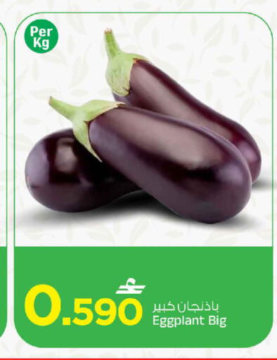 Eggplant available at مارك & سايف in عُمان - مسقط‎
