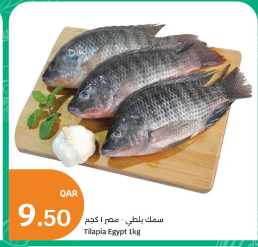 available at سيتي هايبرماركت in قطر - الدوحة