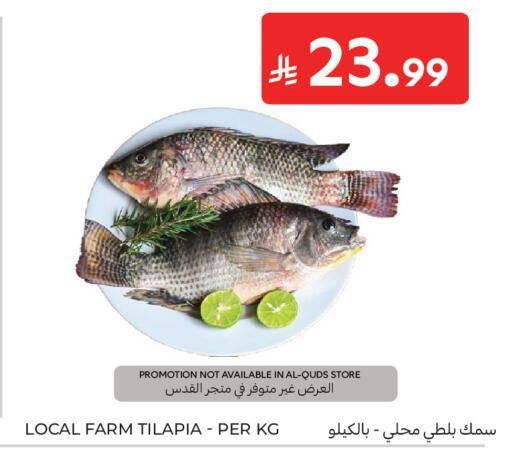 available at كارفور in مملكة العربية السعودية, السعودية, سعودية - جدة