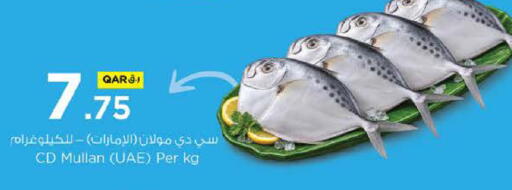 available at نـسـتـو in قطر - الريان