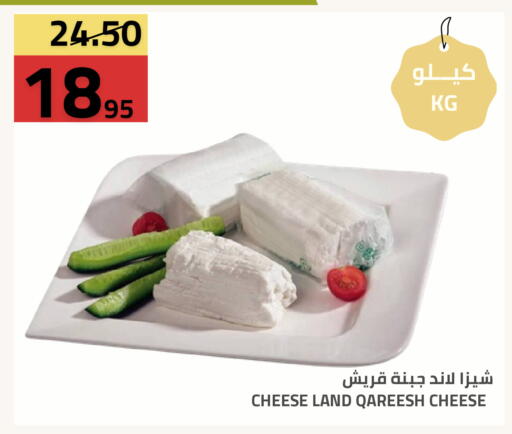 available at Astra Markets in KSA, Saudi Arabia, Saudi - Tabuk