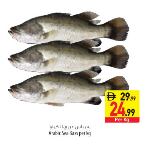 available at Safeer Market in UAE - Sharjah / Ajman