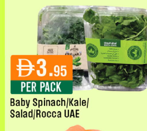 Spinach Kale available at West Zone Supermarket in UAE - Dubai