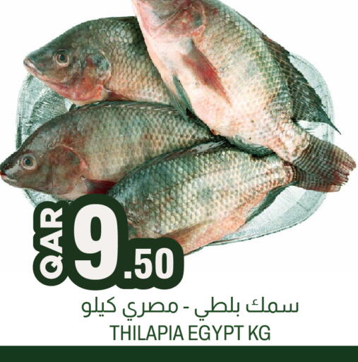available at Aswaq Al Malaki Fresh in Qatar - Al Shamal