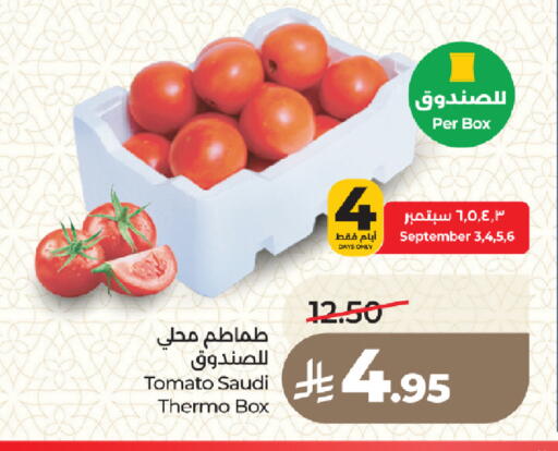Tomato from Saudi Arabia available at لولو هايبرماركت in مملكة العربية السعودية, السعودية, سعودية - المدينة المنورة