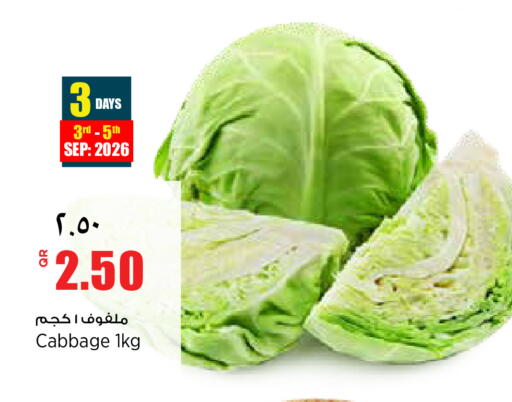 Cabbage available at ريتيل مارت in قطر - الشمال