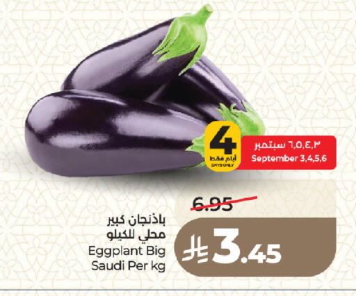 Eggplant from Saudi Arabia available at لولو هايبرماركت in مملكة العربية السعودية, السعودية, سعودية - المدينة المنورة