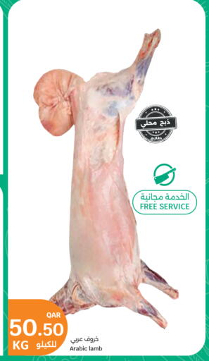 available at City Hypermarket in Qatar - Al Shamal