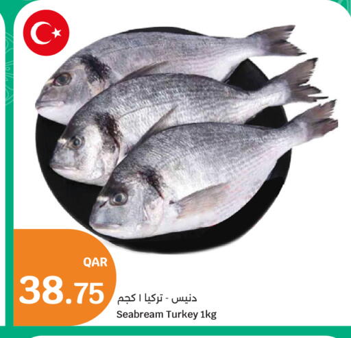 available at سيتي هايبرماركت in قطر - الخور