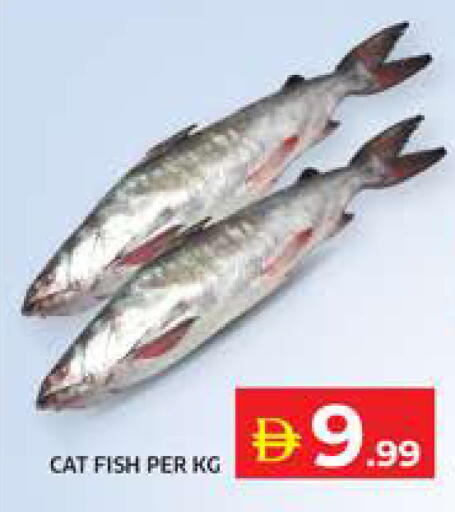available at الامارات السبع سوبر ماركت in الإمارات العربية المتحدة , الامارات - أبو ظبي