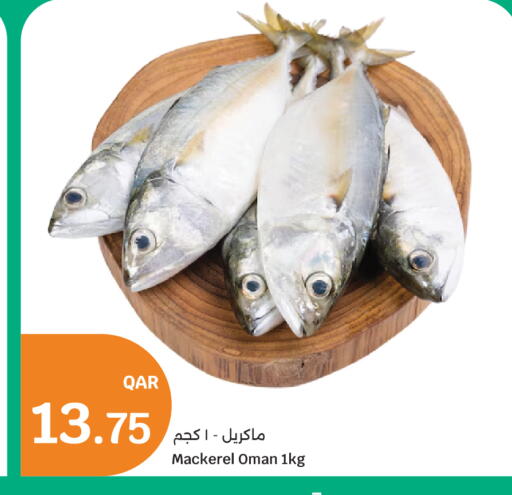 available at سيتي هايبرماركت in قطر - الخور
