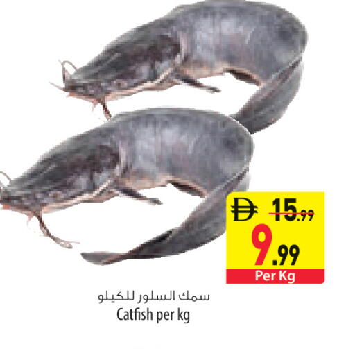 available at السفير ماركت in الإمارات العربية المتحدة , الامارات - رَأْس ٱلْخَيْمَة