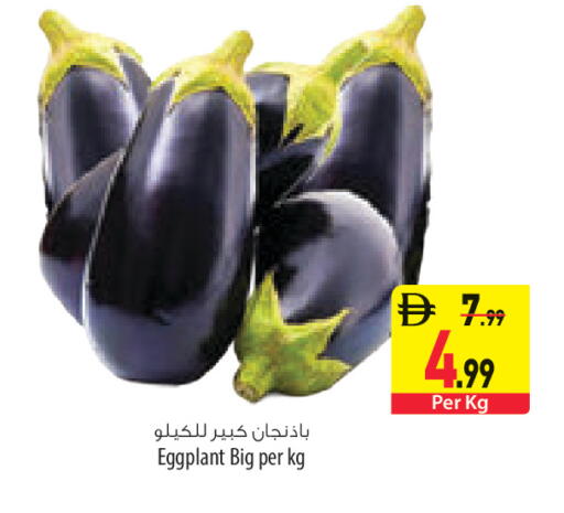Eggplant available at السفير ماركت in الإمارات العربية المتحدة , الامارات - رَأْس ٱلْخَيْمَة