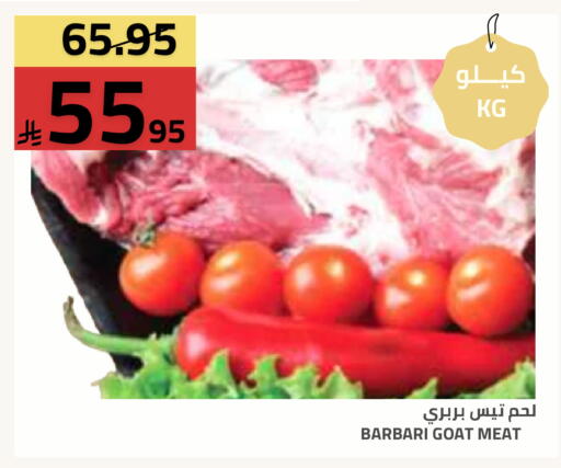 available at أسواق أسترا in مملكة العربية السعودية, السعودية, سعودية - تبوك