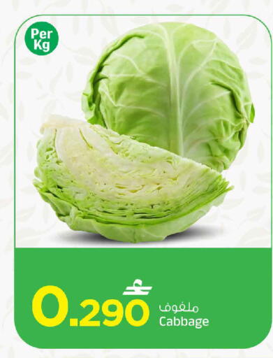 Cabbage available at مارك & سايف in عُمان - مسقط‎