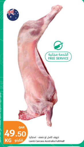 available at City Hypermarket in Qatar - Al Shamal
