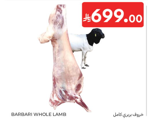 available at كارفور in مملكة العربية السعودية, السعودية, سعودية - المدينة المنورة