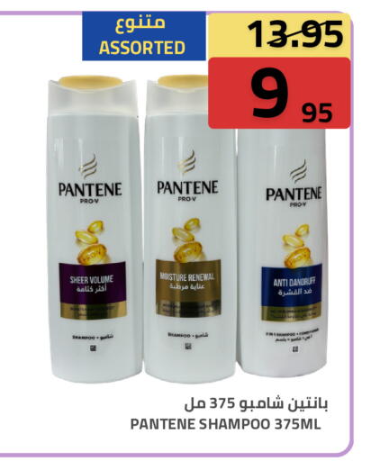 available at أسواق أسترا in مملكة العربية السعودية, السعودية, سعودية - تبوك