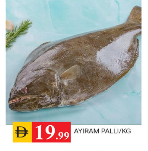 available at سوق طلال in الإمارات العربية المتحدة , الامارات - الشارقة / عجمان