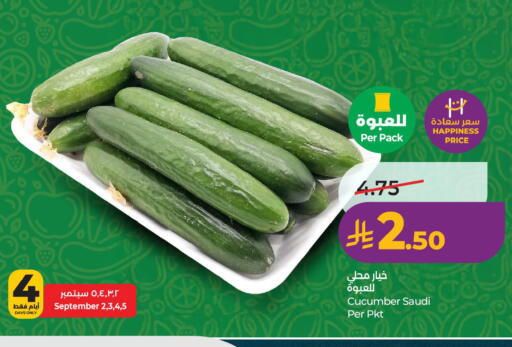 Cucumber from Saudi Arabia available at LULU Hypermarket in KSA, Saudi Arabia, Saudi - Al Khobar